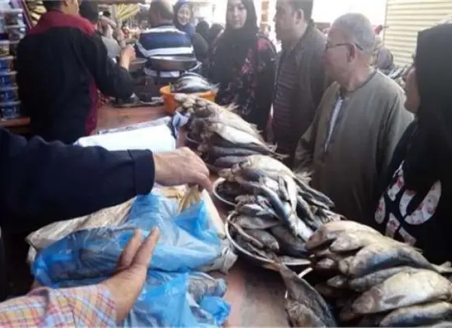 الزراعة: حملات لضبط الأسواق وتحذير من الأسماك المجهولة