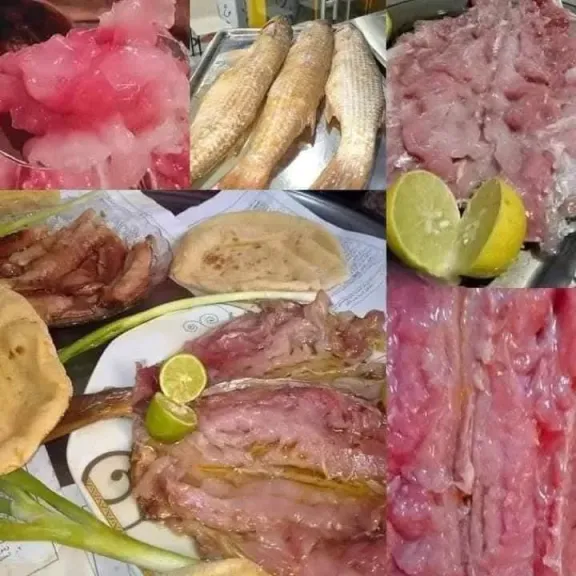 الطب البيطري بسوهاج يكشف طرق اختيار الفسيخ السليم