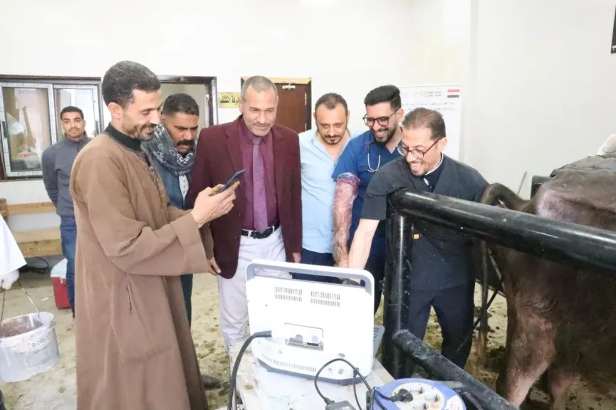 قوافل بيطرية مجانية لدعم صغار المربين فى أسيوط