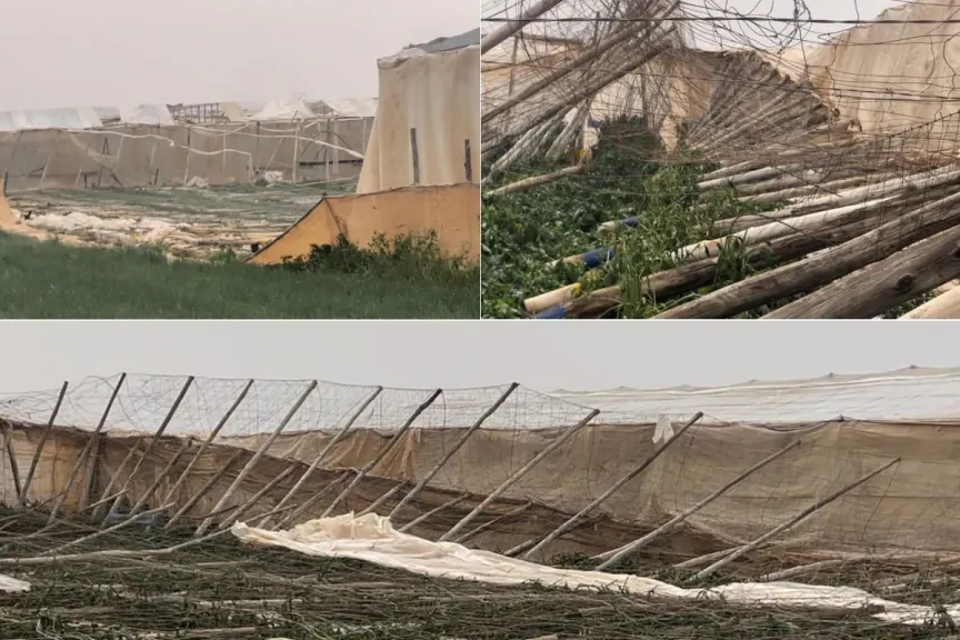 قطاع الطماطم المغربي يواجه أزمة غير مسبوقة بعد العواصف المتتالية