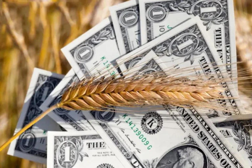 القمح يسجل أكبر خسارة أسبوعية في 8 أشهر بفعل تخمة المخزونات العالمية