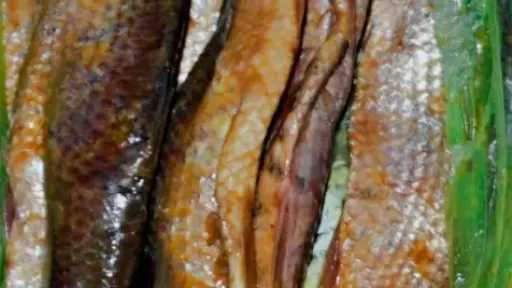 احذر تسمم الفسيخ في شم النسيم.. أعراض مبكرة وإجراءات وقاية