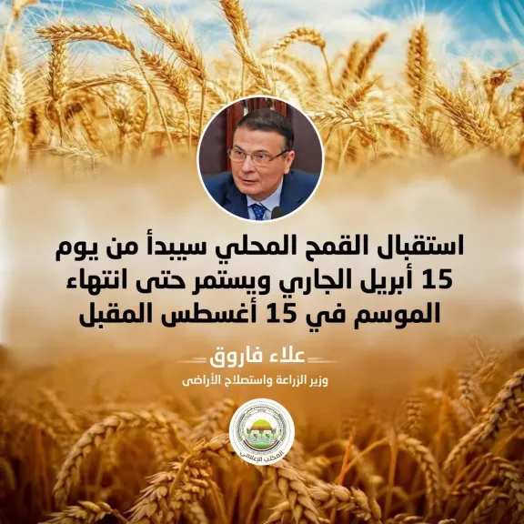 الاستعدادات النهائية لحصاد القمح.. 2500 جنيه للإردب وصرف المستحقات خلال 48 ساعة