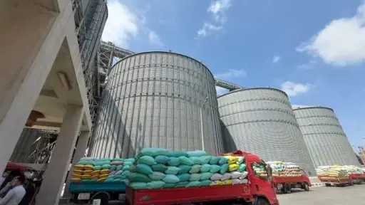 غدًا.. الحكومة تبدأ استلام القمح المحلي لتعزيز المخزون الاستراتيجي