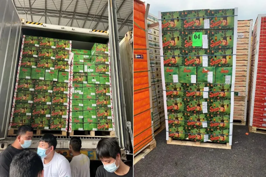 برتقال فالنسيا.. الأسواق الآسيوية تخذل المصدرين المصريين