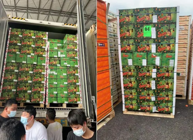 برتقال فالنسيا.. الأسواق الآسيوية تخذل المصدرين المصريين