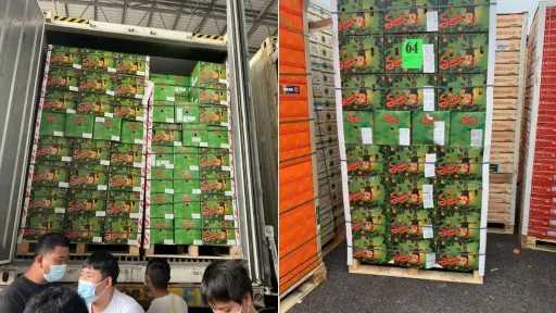 برتقال فالنسيا.. الأسواق الآسيوية تخذل المصدرين المصريين