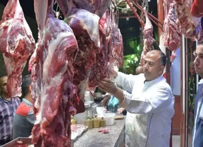 الثروة الحيوانية بالقليوبية تكشف مخالفات خطيرة في الأسواق