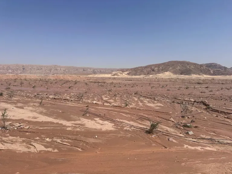 «الزراعة»: دعم فني عاجل لمتضرري السيول بتجمع «وادي سعال» بسانت كاترين