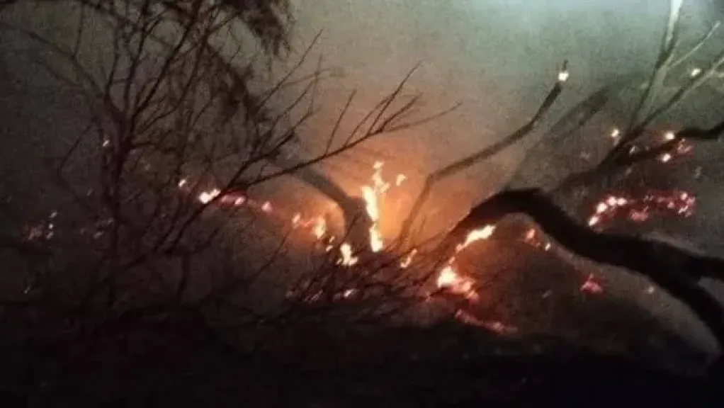 تفاصيل حريق في مصرف زراعي بمركز باريس بمحافظة الوادي الجديد