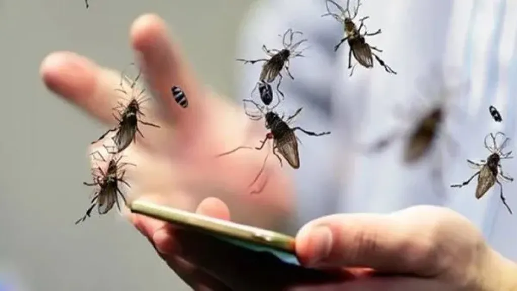 مركز المناخ يكشف السبب الحقيقي وراء انتشار الذباب