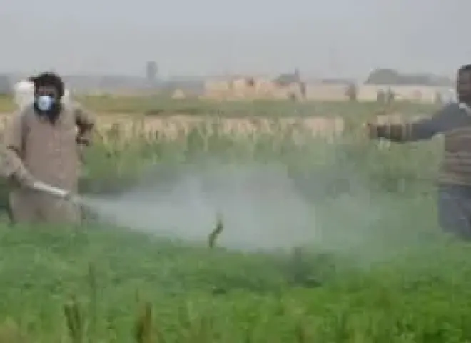 مركز المناخ يوجه بوقف الرش وتأجيل العمليات الزراعية