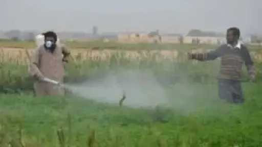 مركز المناخ يوجه بوقف الرش وتأجيل العمليات الزراعية