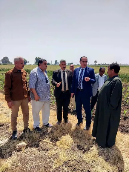 ”الزراعة”: تحركات ميدانية مكثفة لمتابعة حصاد القمح وتوريده