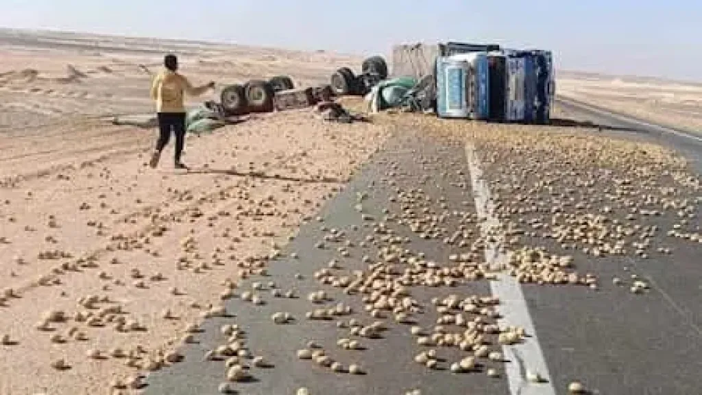 انقلاب تريلا محملة بـ60 طنًا من البطاطس على طريق منفلوط الوادي الجديد