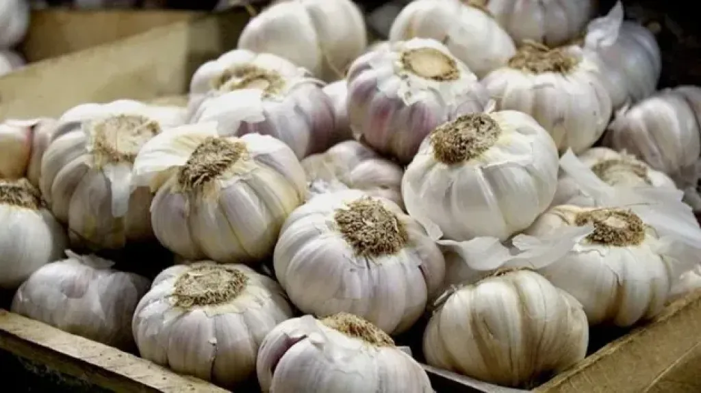 ”الثوم المصري”: مصر تتربع على عرش ”التوب 3” في إيطاليا