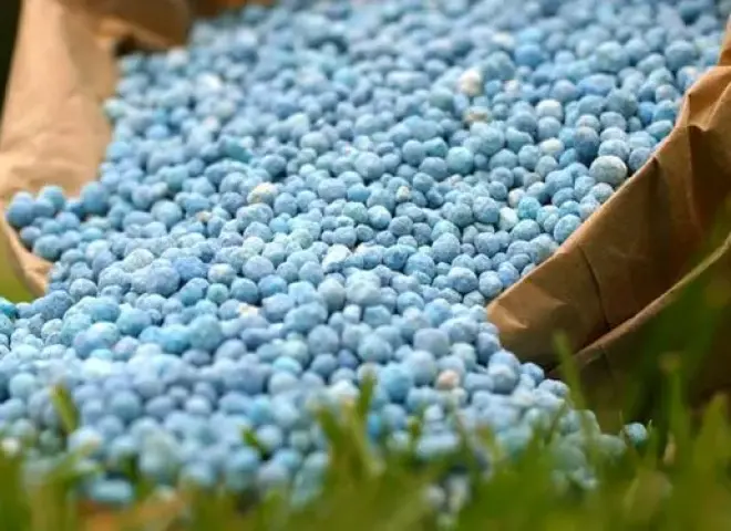 التوترات الجيوسياسية تدفع الطلب العالمي على الأسمدة إلى الارتفاع