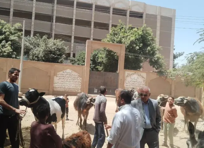 قافلة بيطرية بسوهاج تنقذ 500 رأس ماشية بالمجان