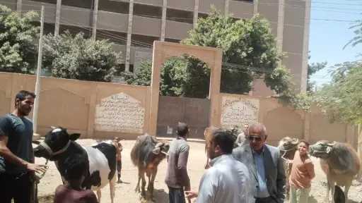 قافلة بيطرية بسوهاج تنقذ 500 رأس ماشية بالمجان