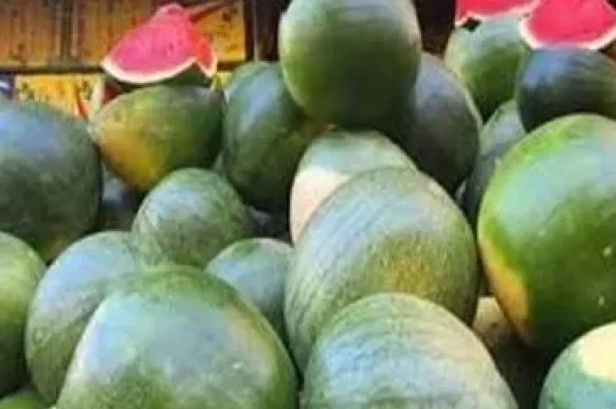 ارتفاع أسعار البطيخ يشعل غضب المستهلكين في الأسواق