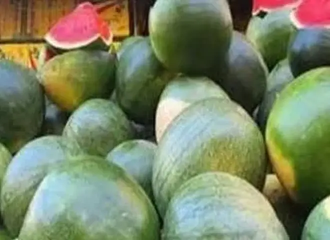ارتفاع أسعار البطيخ يشعل غضب المستهلكين في الأسواق