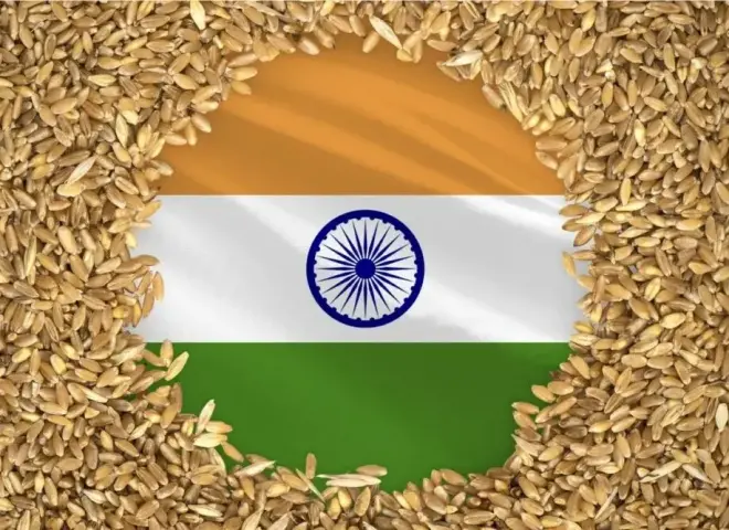 الهند تدرس مضاعفة حصص تصدير القمح لتخفيف أعباء التخزين