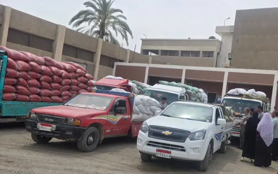توريد 5801 طنًا من القمح وتجهيز 15 موقعًا لاستقبال المحصول بسوهاج