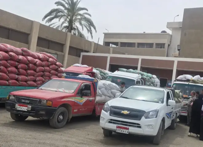 توريد 5801 طنًا من القمح وتجهيز 15 موقعًا لاستقبال المحصول بسوهاج