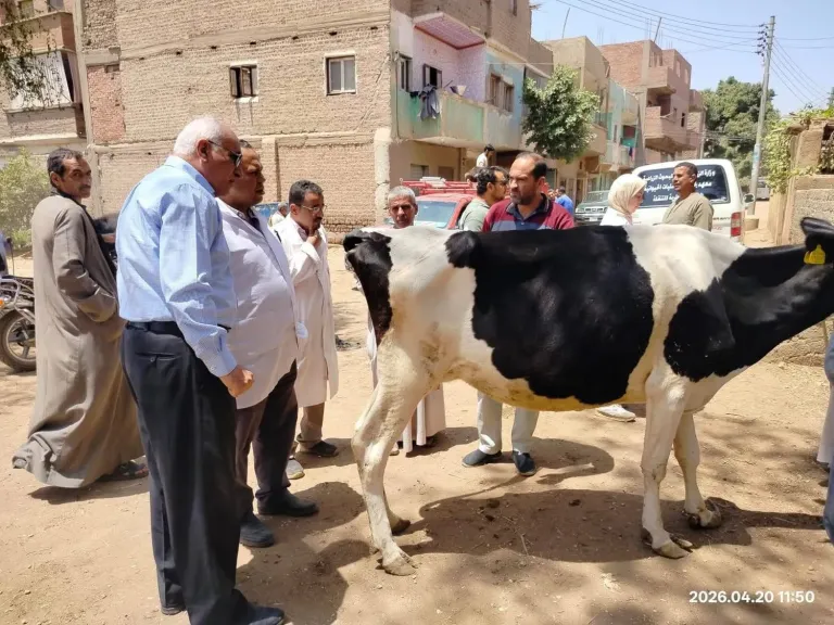 بيطري سوهاج يطلق قافلة مجانية لعلاج الحيوانات