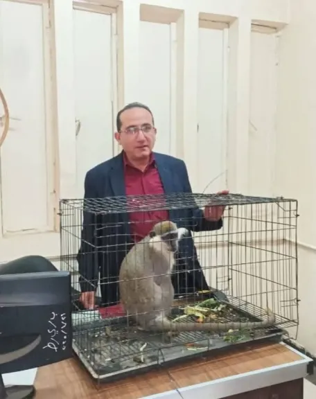 بعد إثارته الذعر في ”الزنكلون”.. السيطرة على ”نسناس” بالشرقية ونقله لـ حديقة حيوان الزقازيق