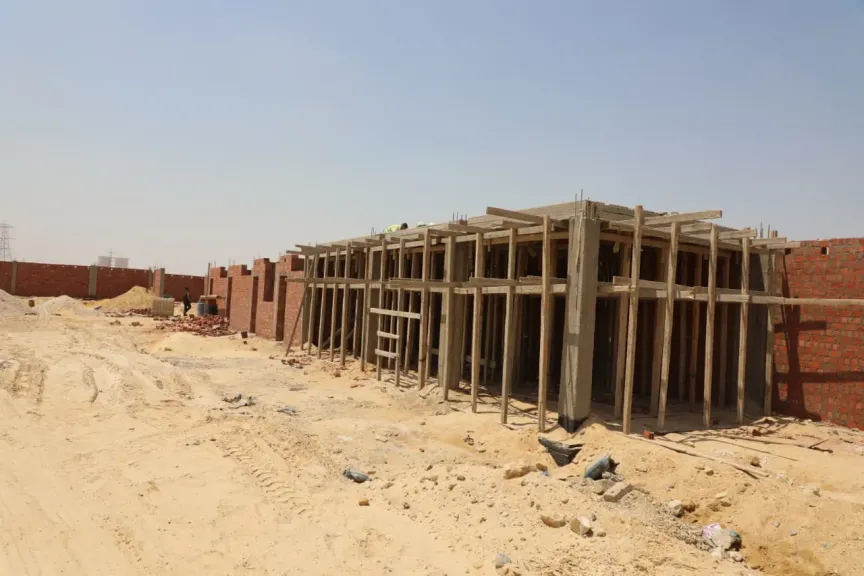 القاهرة تطلق شلتر الكلاب الضالة..  تعرف على التفاصيل