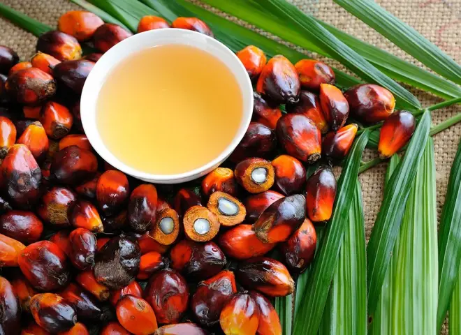 زيت النخيل: قفزة سعرية في بورصة ماليزيا