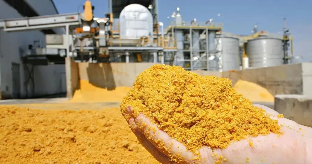 معالجة الصويا العالمية تكسر حاجز الـ 100 مليون طن للمرة الأولى