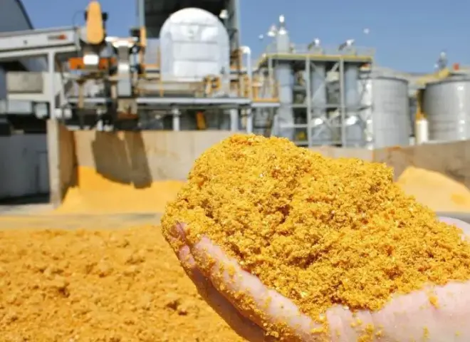 معالجة الصويا العالمية تكسر حاجز الـ 100 مليون طن للمرة الأولى