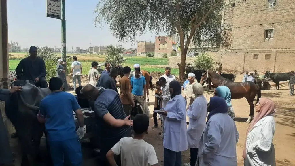 بيطري سوهاج: قوافل بيطرية مجانية تفحص وتعالج 3150 حالة متنوعة