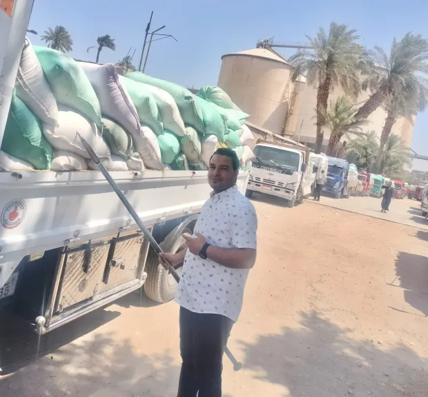  توريد القمح في سوهاج 