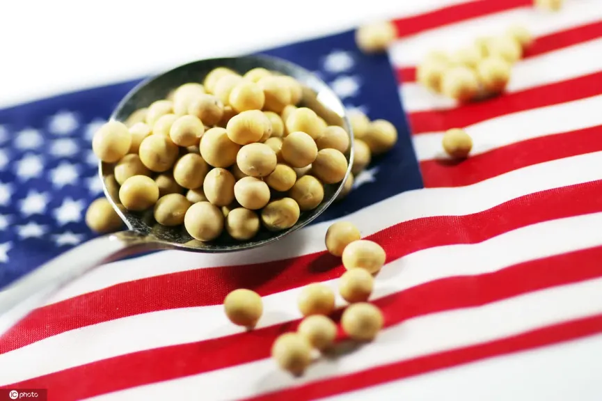 الولايات المتحدة تخصص 14 مليون دولار لتعزيز صادرات الصويا