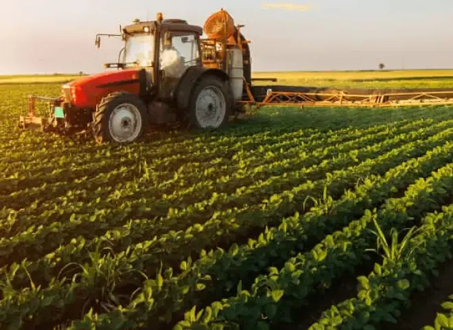 مركز المناخ يقدم إرشادات عاجلة لحماية القطاع الزراعي