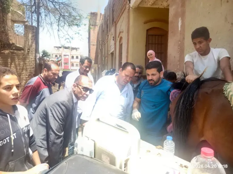 الزراعة” تطلق 5 قوافل بيطرية مجانية لدعم صغار المربين فى سوهاج