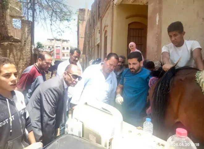 الزراعة” تطلق 5 قوافل بيطرية مجانية لدعم صغار المربين فى سوهاج