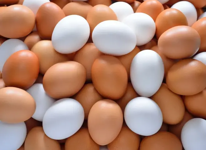 أسعار كرتونة البيض اليوم الأحد 26 - 4 - 2026