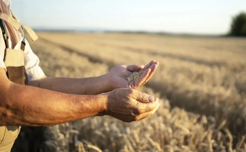 مزارعو روسيا يطالبون بإلغاء رسوم التصدير ووقف إجراءات الإفلاس