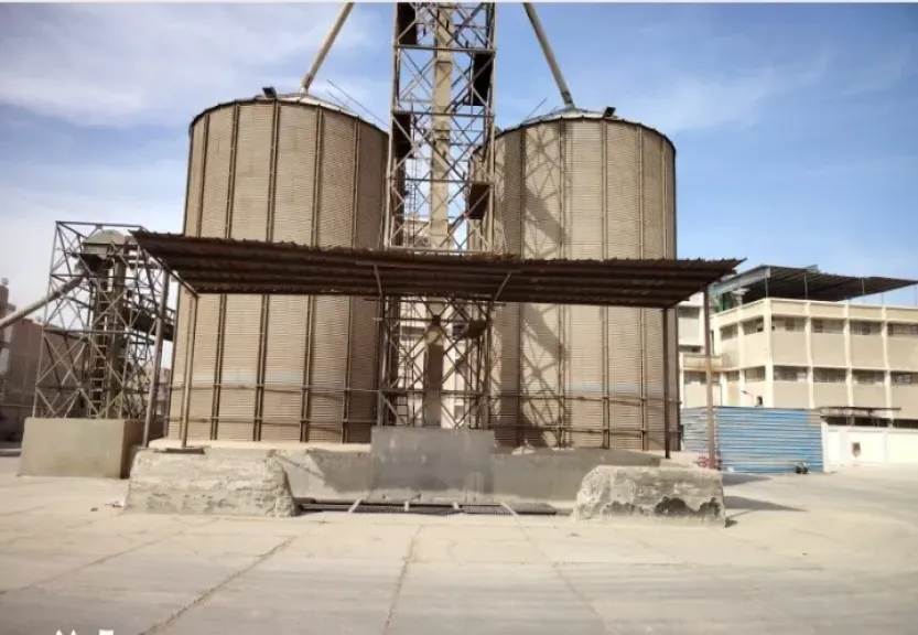 محافظ سوهاج يعلن توريد 29 ألف طن قمح بالصوامع