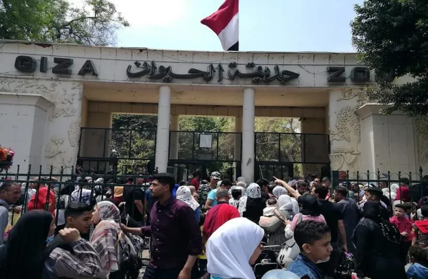 الجيزة تستعد لافتتاح حديقتي الحيوان والأورمان