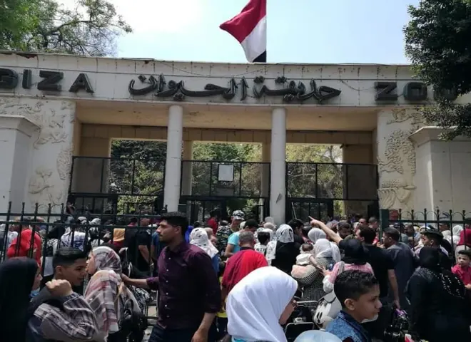 الجيزة تستعد لافتتاح حديقتي الحيوان والأورمان