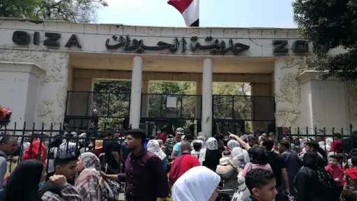 الجيزة تستعد لافتتاح حديقتي الحيوان والأورمان