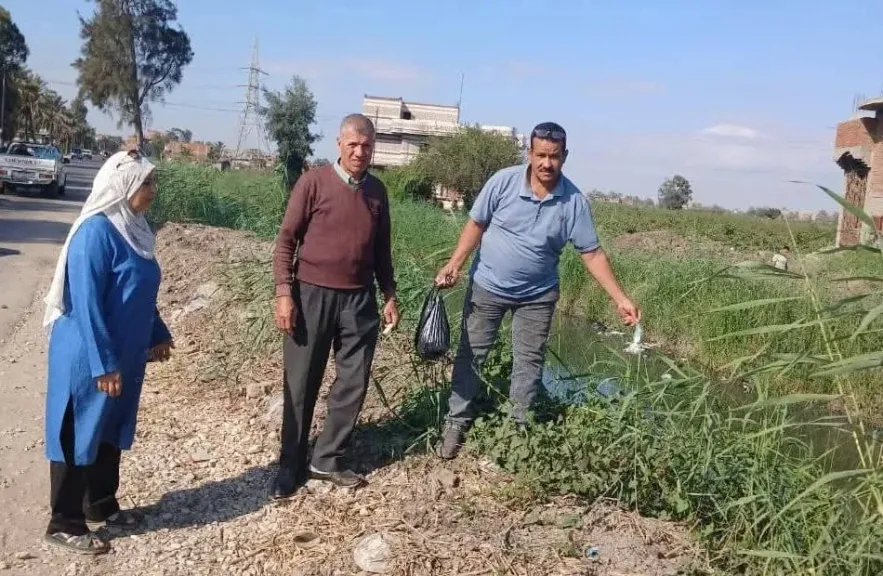 الزراعة بالشرقية تطلق خطة مواجهة القوارض