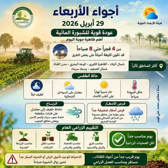 الشبورة تعود بقوة فجرًا.. وتحذيرات مهمة للمزارعين مع طقس مستقر يدعم العمل الزراعي