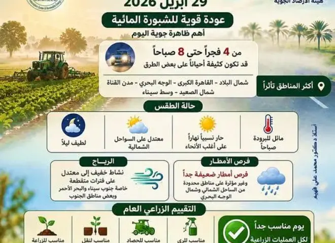الشبورة تعود بقوة فجرًا.. وتحذيرات مهمة للمزارعين مع طقس مستقر يدعم العمل الزراعي
