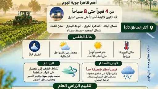 الشبورة تعود بقوة فجرًا.. وتحذيرات مهمة للمزارعين مع طقس مستقر يدعم العمل الزراعي